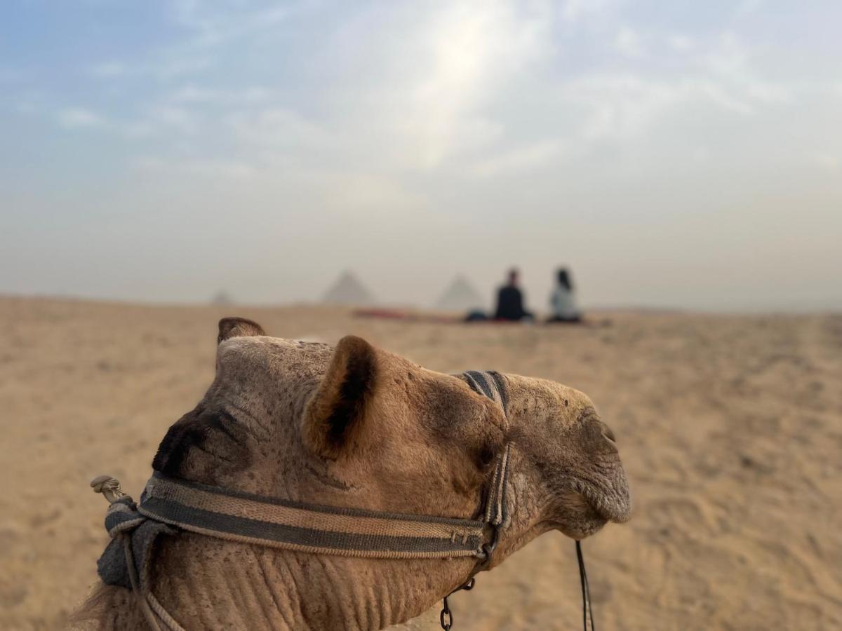 Pyramids Top Success Result Kafret el-Gabal 외부 사진