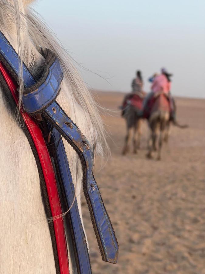 Pyramids Top Success Result Kafret el-Gabal 외부 사진